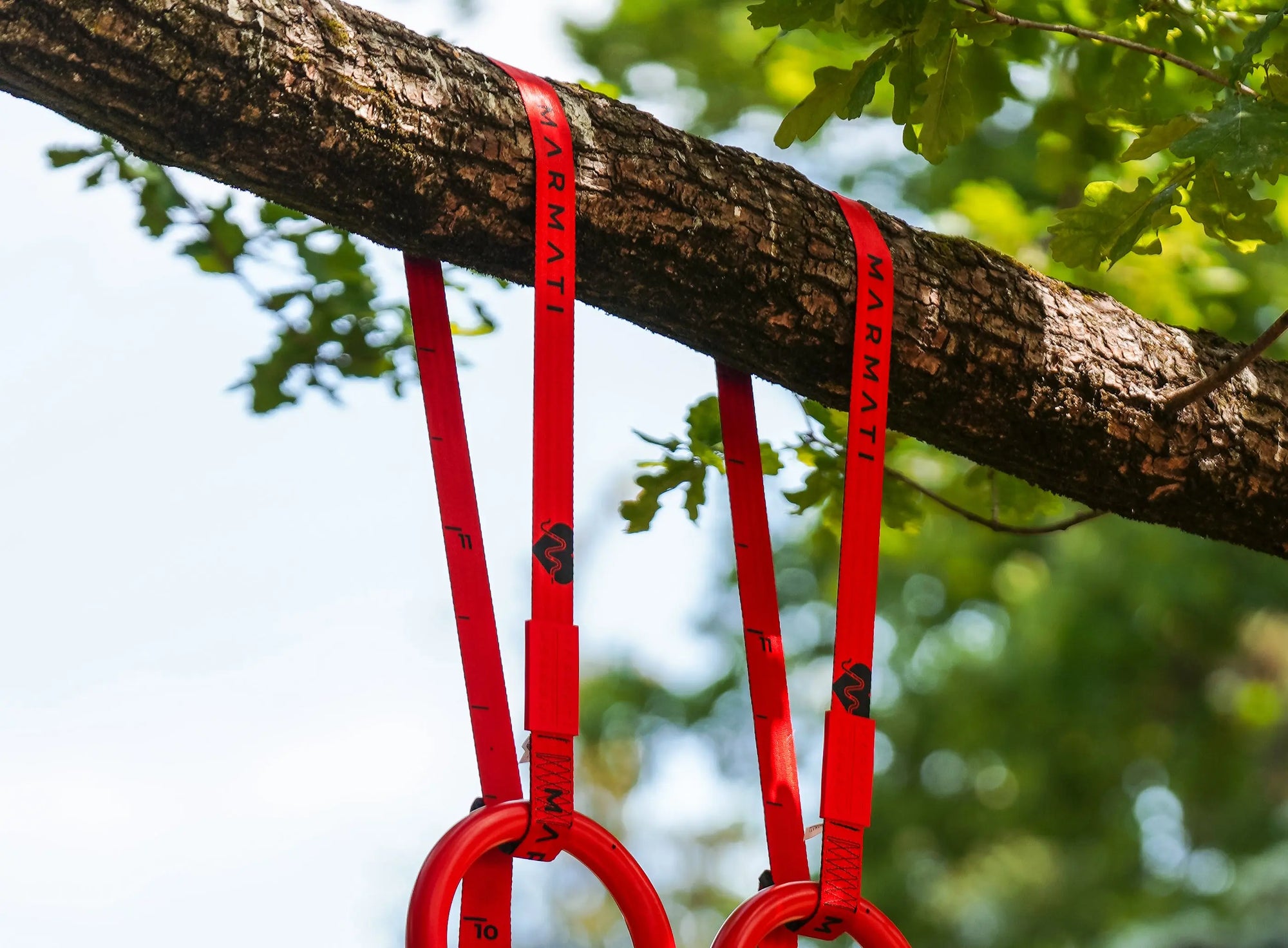 The-Impact-of-Recycled-Gym-Equipment-on-Our-Environment MARMATI