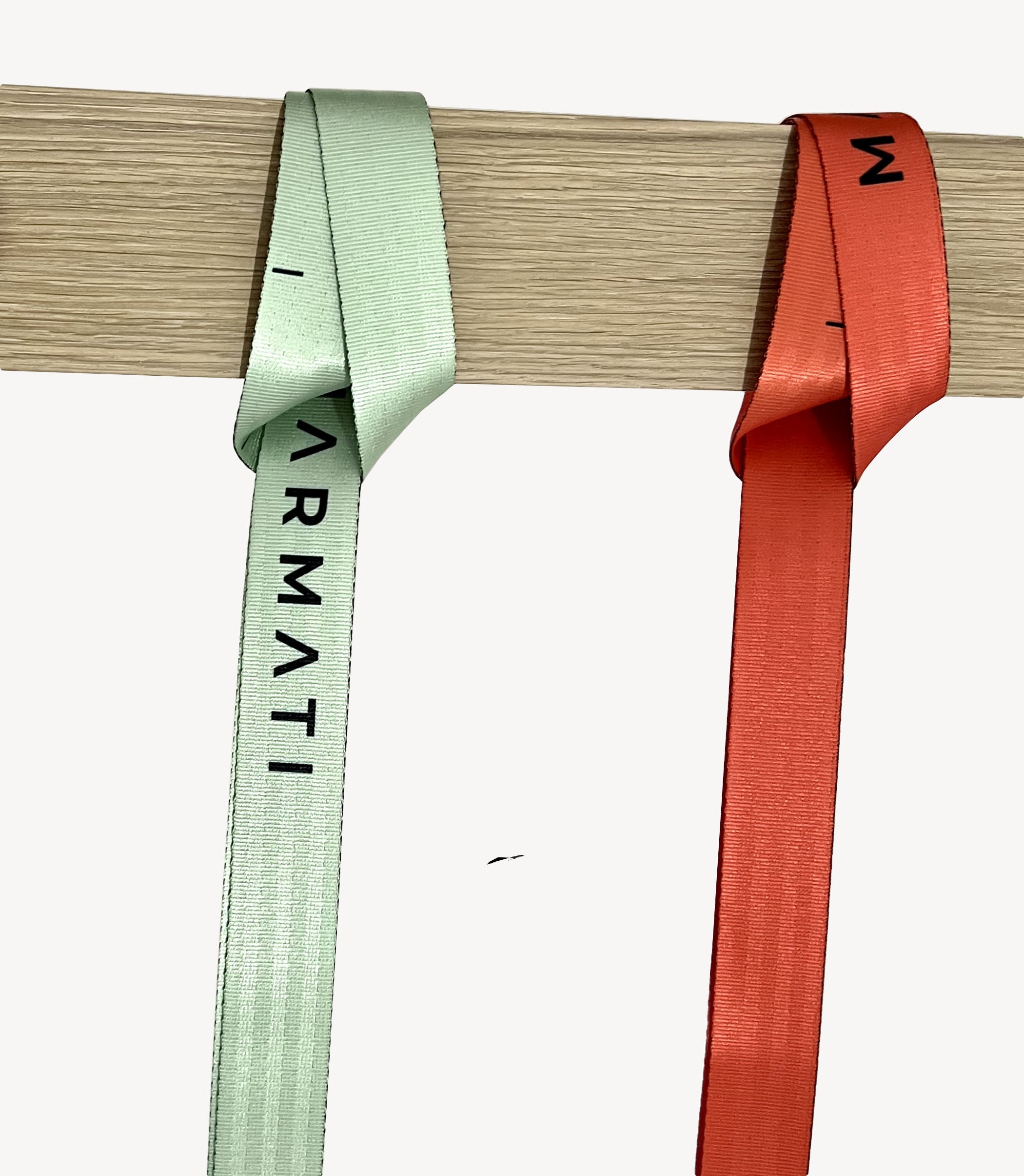 Versatile Treekeeper Strap used for fitness and outdoor training