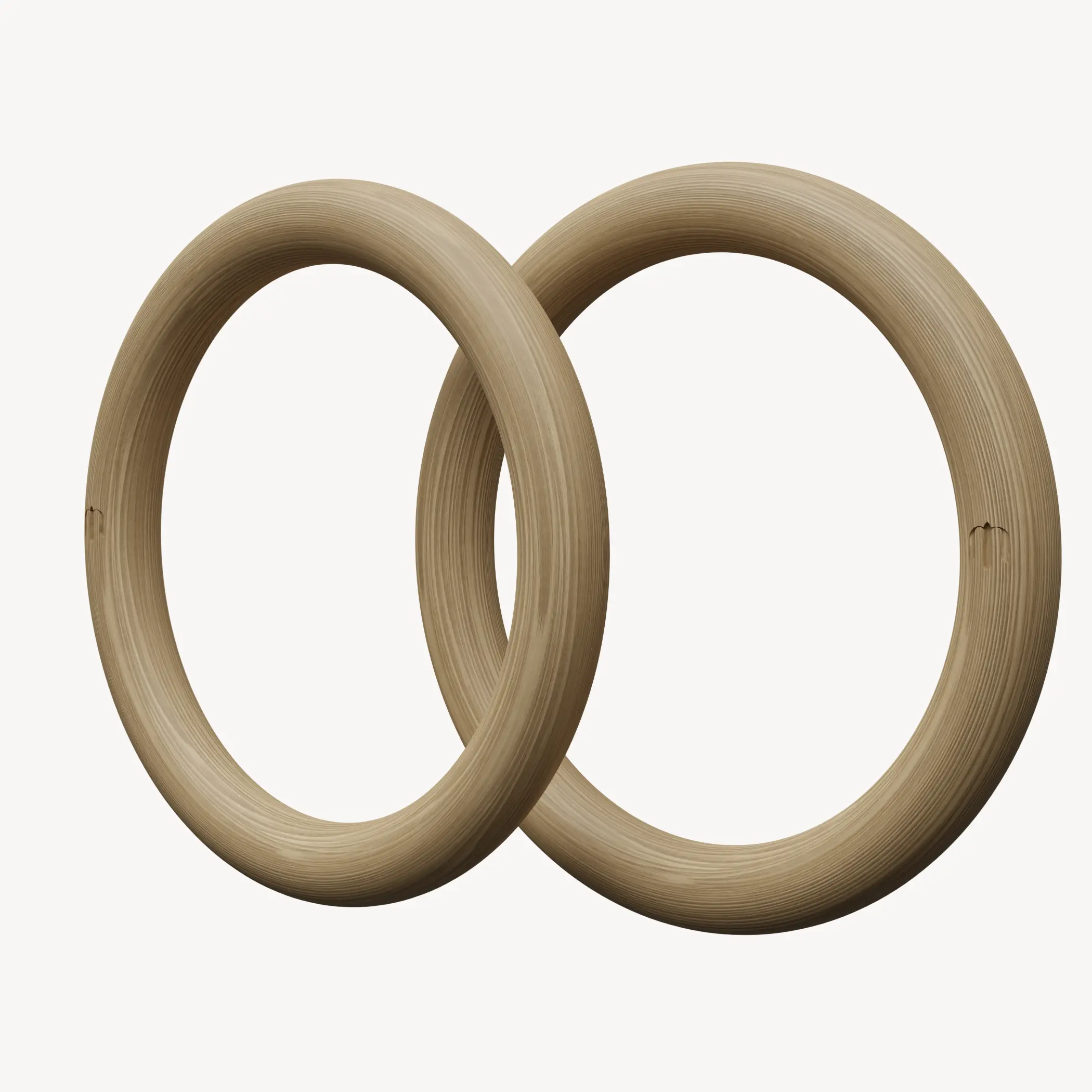 Home gym setup with best exercise rings for gymnastic rings training