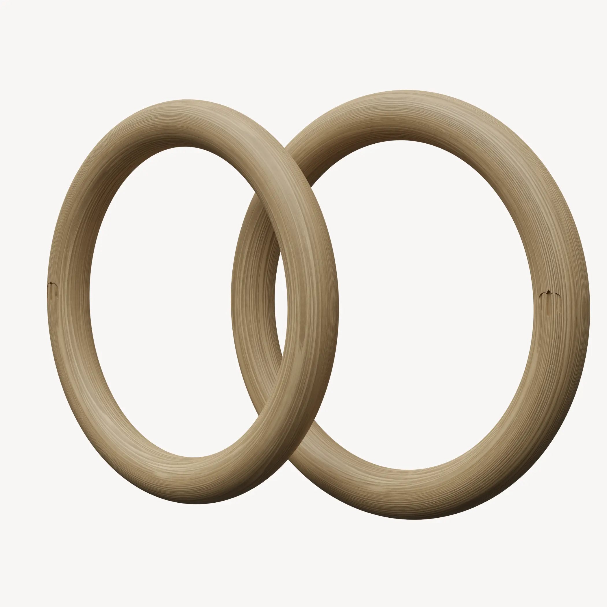 Home gym setup with best exercise rings for gymnastic rings training