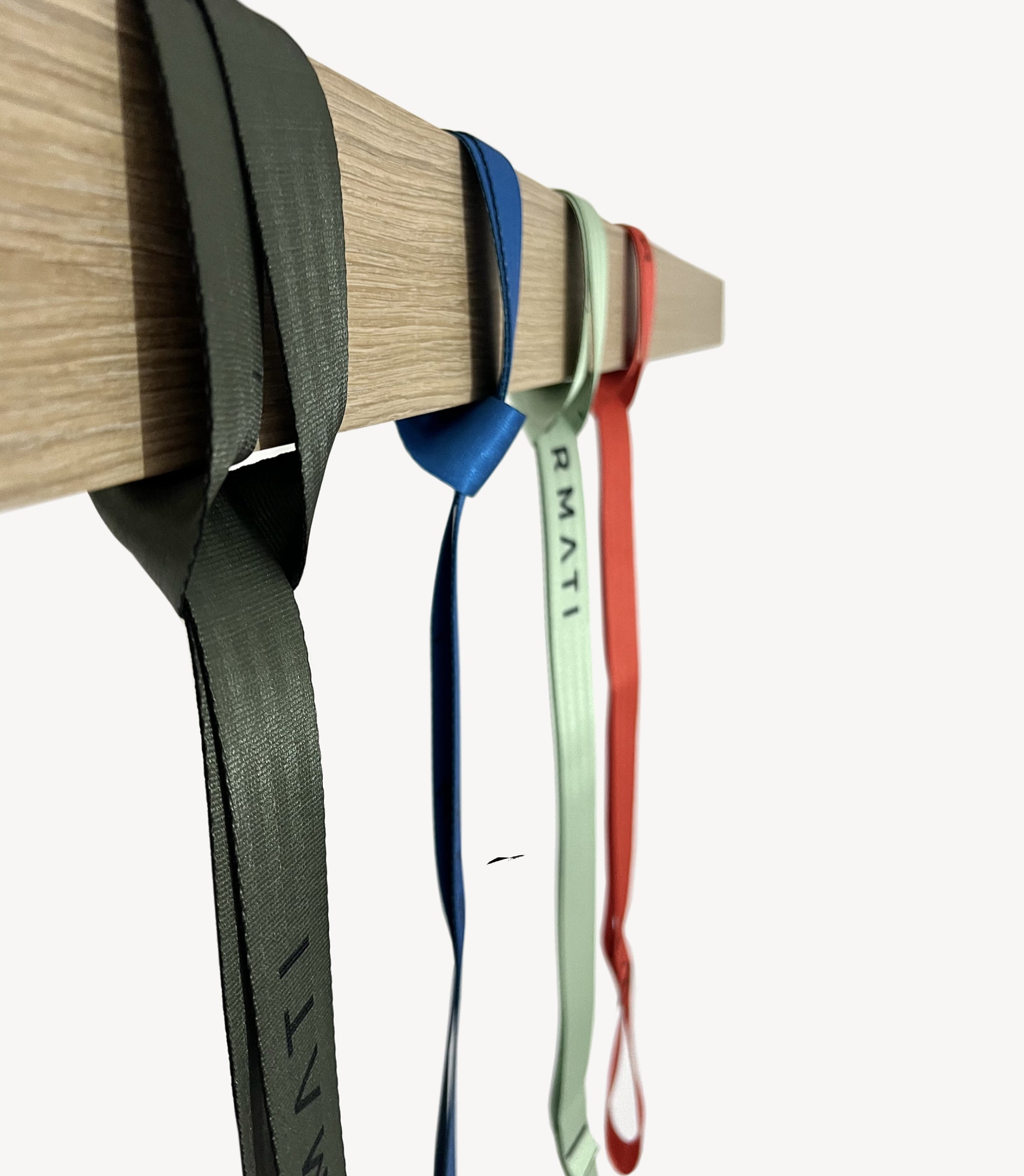 Multi-use Treekeeper Strap for home gym and bodyweight exercises