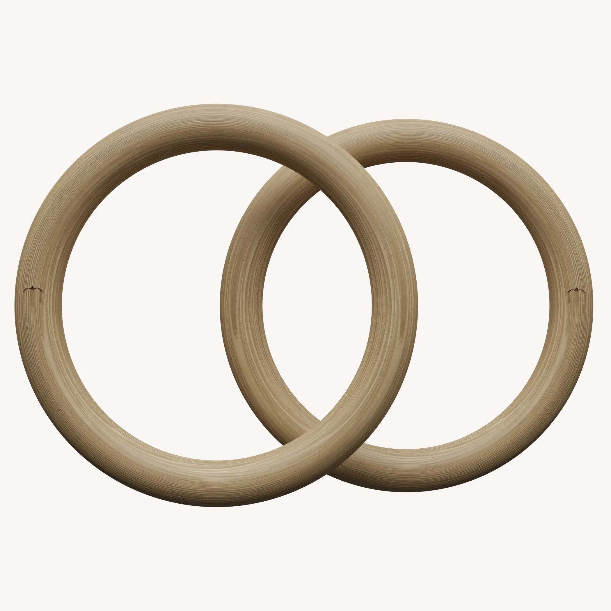 Portable exercise rings for gymnastic rings training at home or outdoors